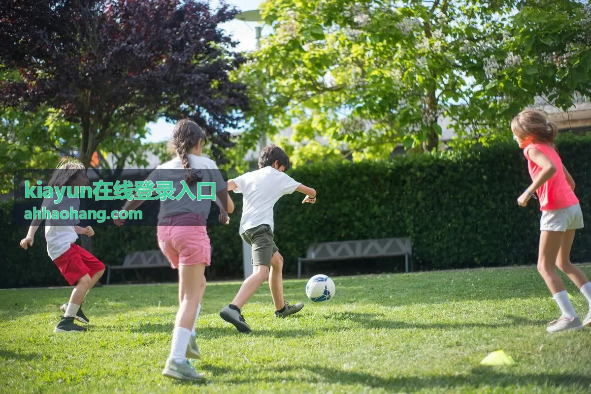 kiayun在线登录入口异常提示的处理流程配图