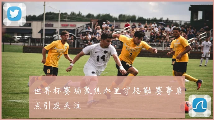 世界杯赛场聚焦加里宁格勒 赛事看点引发关注