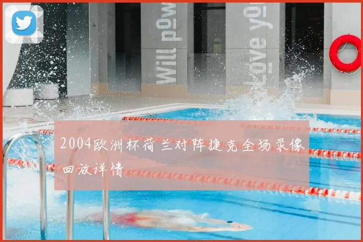 2004欧洲杯荷兰对阵捷克全场录像回放详情