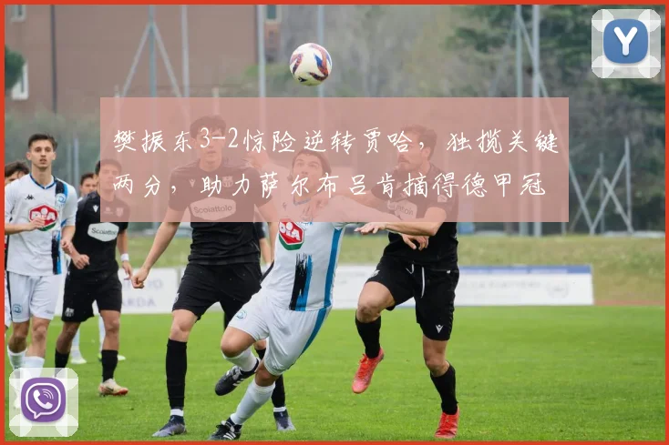 樊振东3-2惊险逆转贾哈，独揽关键两分，助力萨尔布吕肯摘得德甲冠军！_比赛_对手_比分