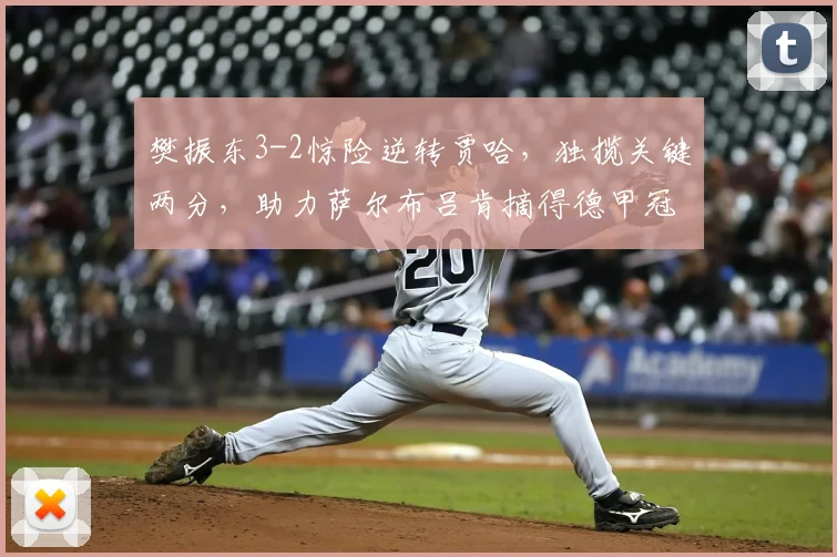 樊振东3-2惊险逆转贾哈,独揽关键两分,助力萨尔布吕肯摘得德甲冠军!_比赛_对手_比分