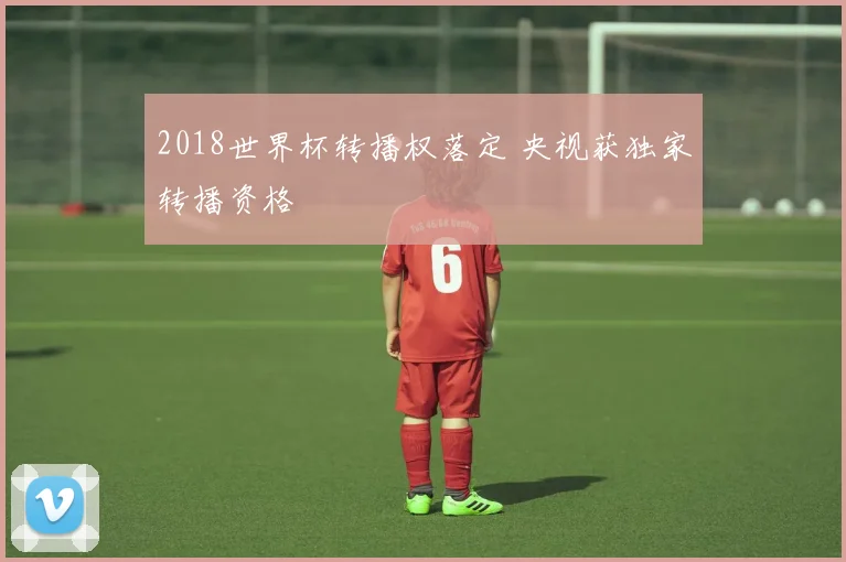 2018世界杯转播权落定 央视获独家转播资格