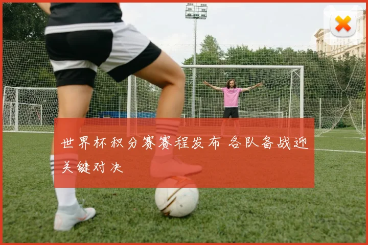 世界杯积分赛赛程发布 各队备战迎关键对决