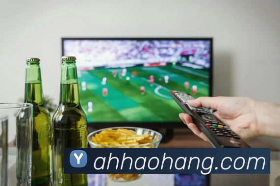 爱游戏手机软件官网品牌故事